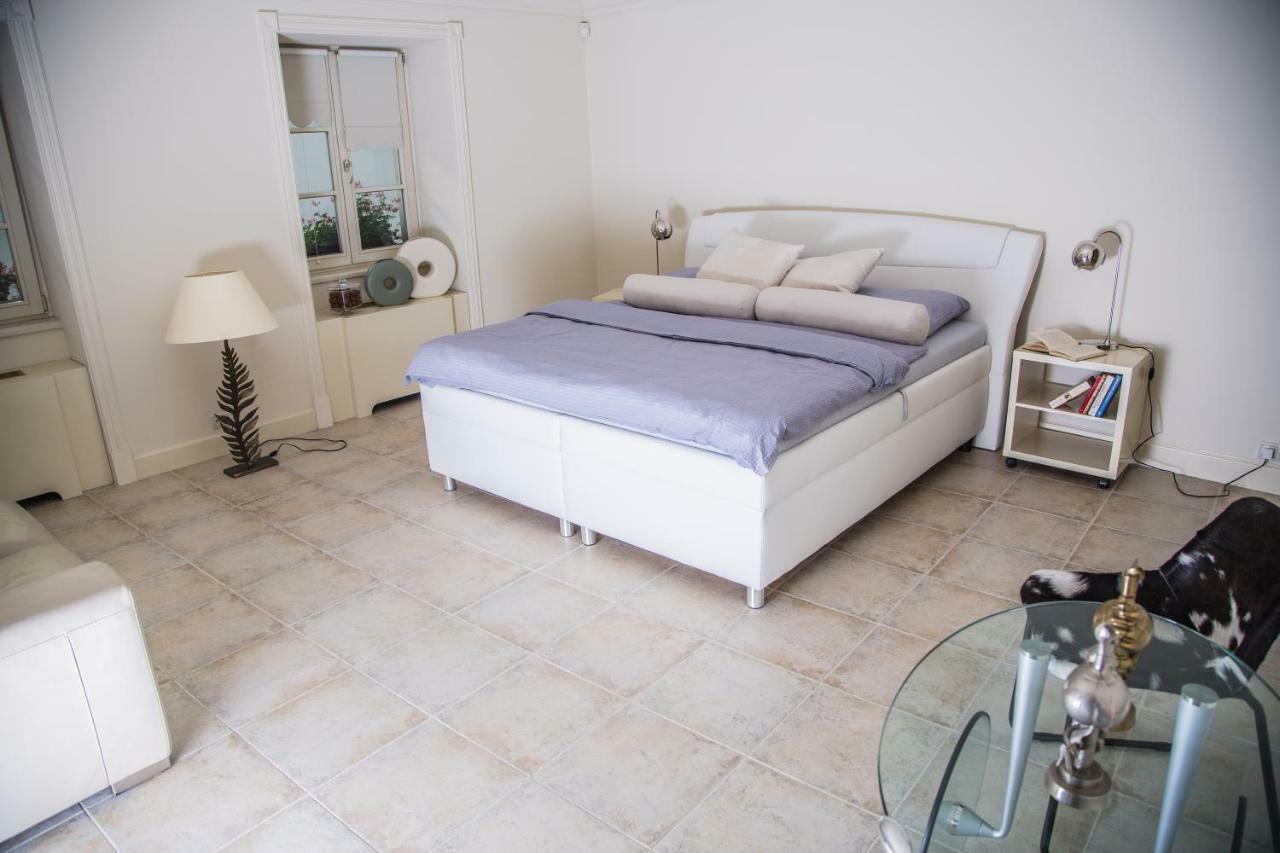 President Boutique Apartment II Brno Luaran gambar